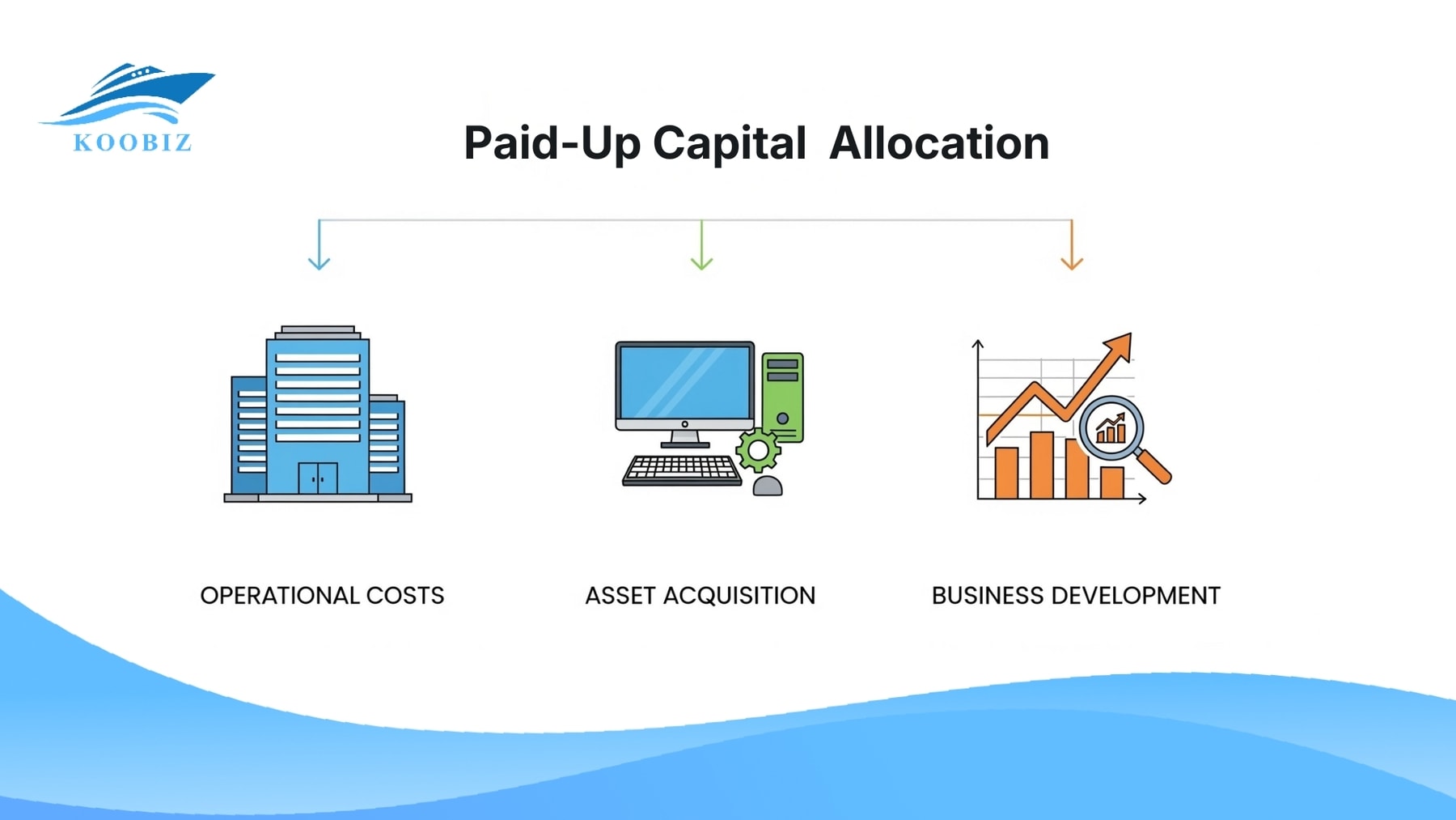 Paid-Up Capital Allocation