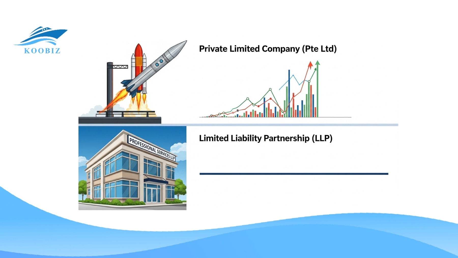 Pte Ltd: fundraising; LLP: professional services