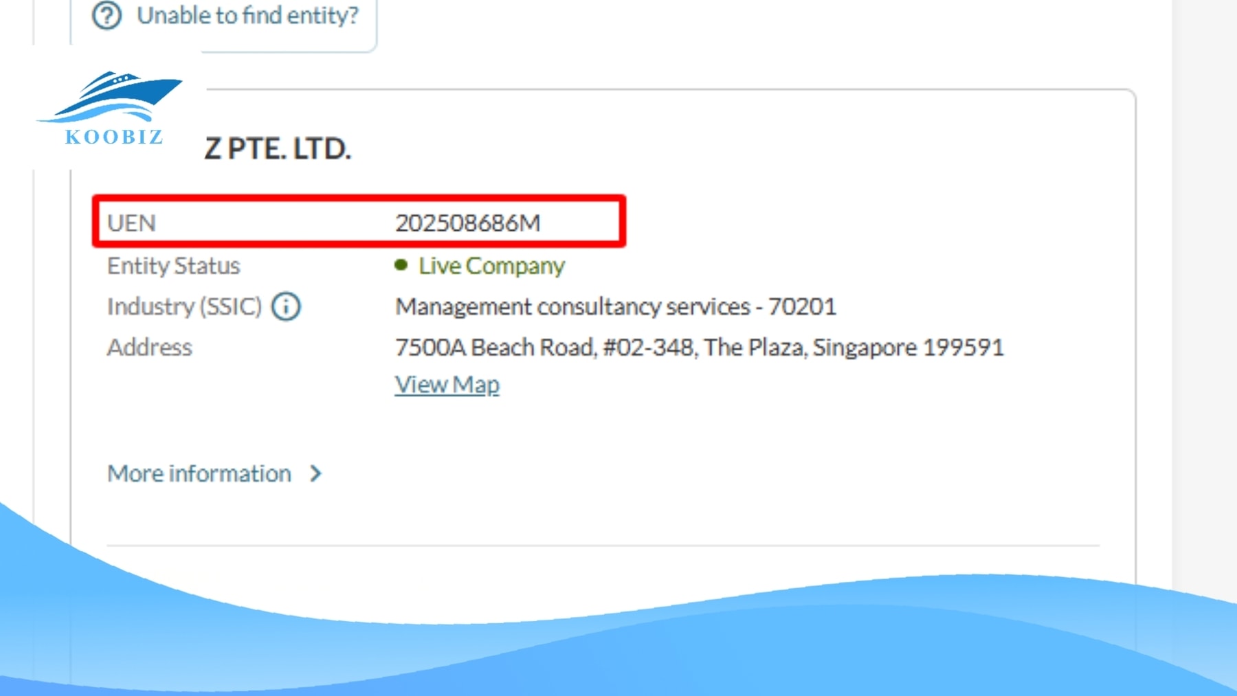 Singapore UEN Number (Source: BizFile) Singapore UEN Number (Source: BizFile)