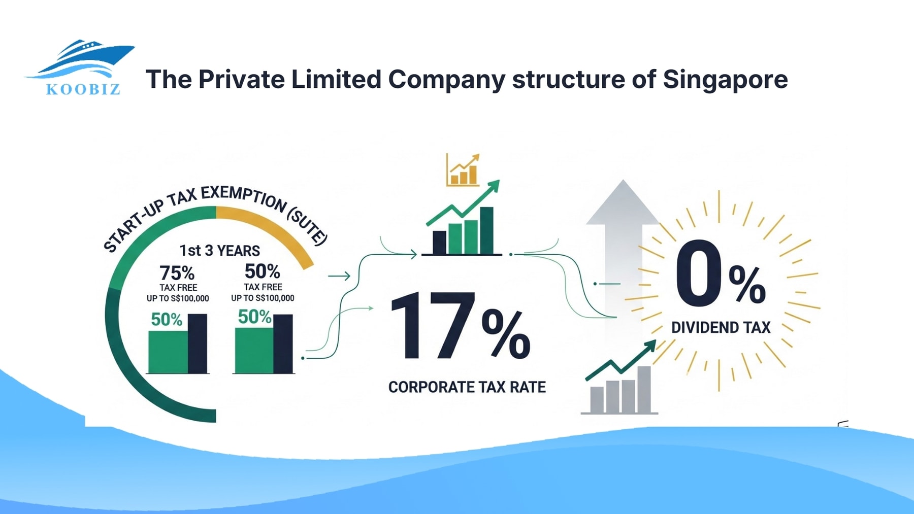 The Private Limited Company structure of Singapore