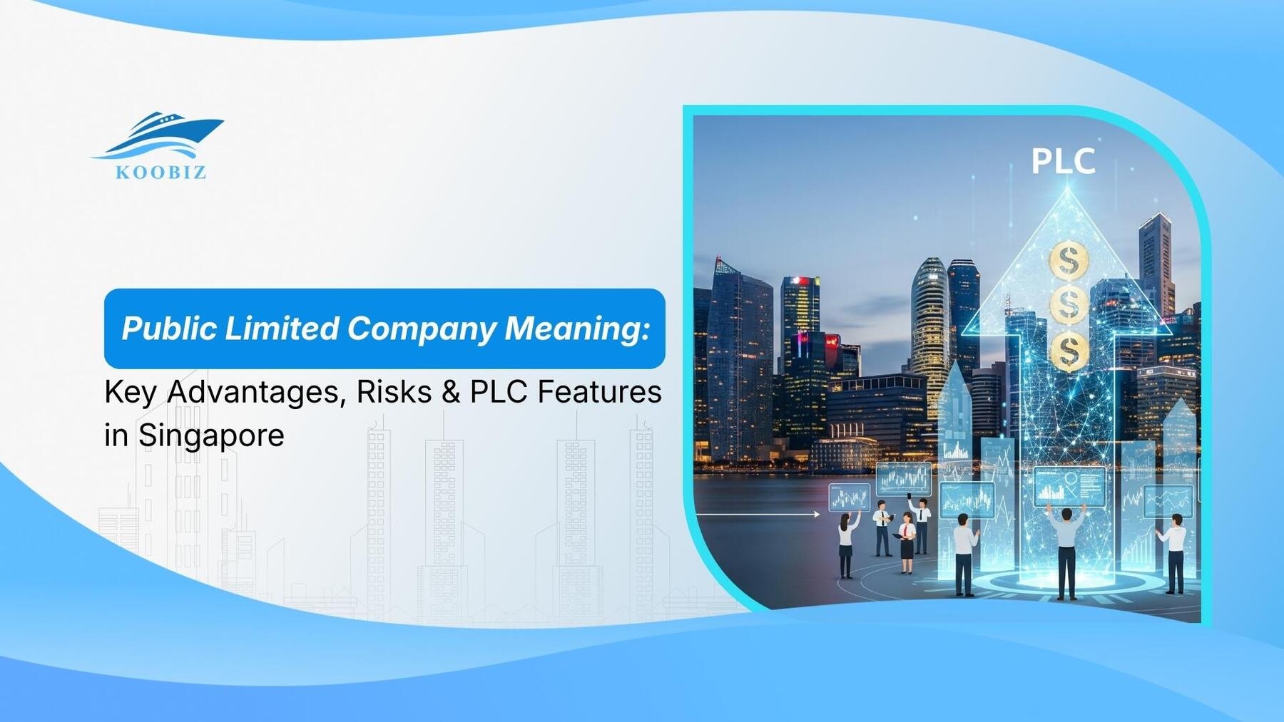 Public Limited Company Meaning: Key Advantages, Risks & PLC Features in Singapore