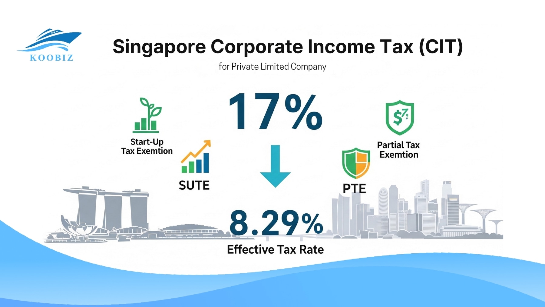 Singapore Pte Ltd Tax Policy Singapore Pte Ltd Tax Policy